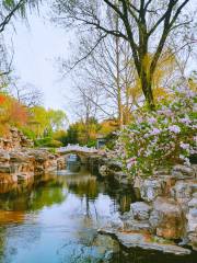 Shichahai Xihai Wetland Park