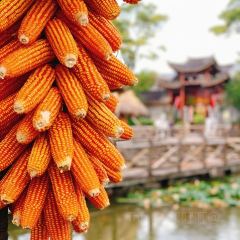 燕子湖农荘 User Photo