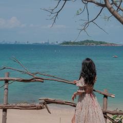 Matata Bay Cafe มาทาทาร์ เบย์ คาเฟ่ User Photo