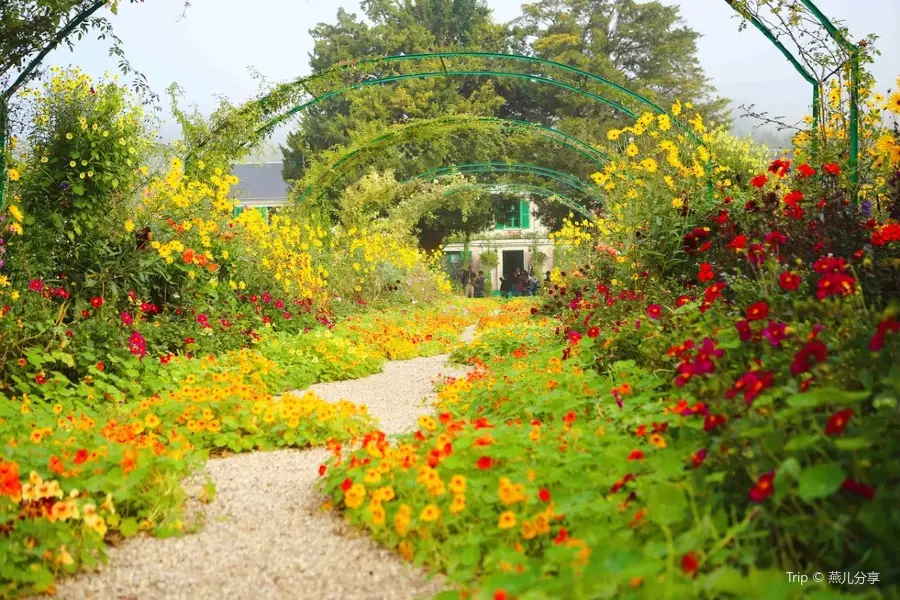 莫奈花園