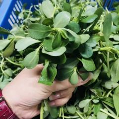 宜昌长城假日酒店·宴会厅 User Photo