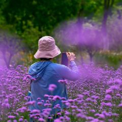 秀山湖畔張用戶圖片