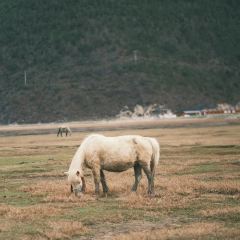 半途而沸 白塔·观景咖啡 여행 사진