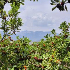 糊辣鸡饭庄 User Photo