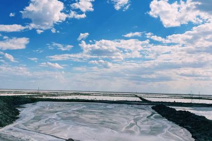 呼市老香烧麦馆(额吉淖尔路)