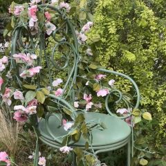 冷遇见暖庭院烤肉(芝麻街店) User Photo