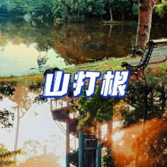 7 Heaven User Photo