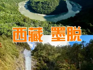 有鹽有味