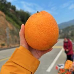 津姐炖罐(三木街店) User Photo