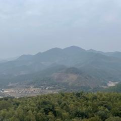 丫山农家乐 User Photo