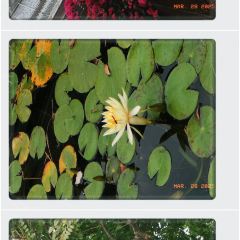 钟姨糖水(惠城店) 여행 사진