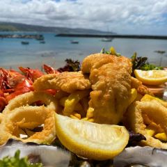 Apollo Bay Fishermen's Co-op張用戶圖片