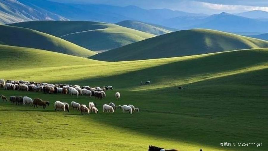 王掌柜木桶鱼(北部湾店)