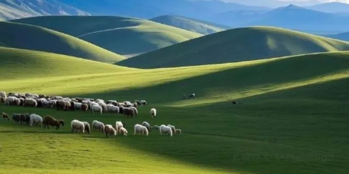 王掌櫃木桶魚（北部灣店）