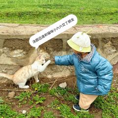 青海湖藏趣部落民宿·特色餐厅 User Photo