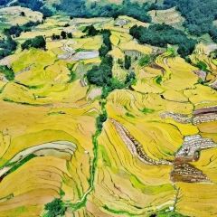 SA MA BA 여행 사진