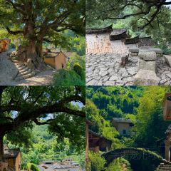 TAIHURENJIA·SUZHECAI User Photo