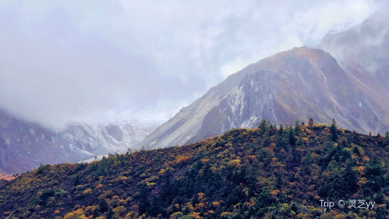 bo mi xian ga long la bing chuan