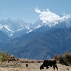 黑豆咖啡屋 User Photo