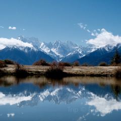 黑豆咖啡屋 User Photo