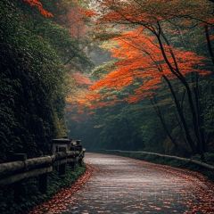 Zhan yi gong shi la zi Chicken (zhan yi) User Photo