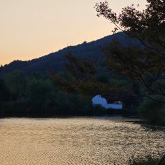 枇杷熟了coffee User Photo