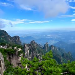 秀嫂挞粿 User Photo