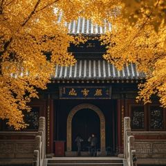 老赵家山西铜火锅烧烤(古城店) User Photo