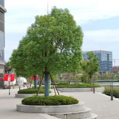 YONG SHANG WAI PO QIAO User Photo