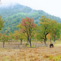 Sage Hall Homestay User Photo