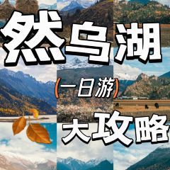 蓝湖驿站禅意酒店(然乌湖店)·餐厅 User Photo