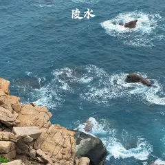 徐福记湛江烤生蚝 User Photo