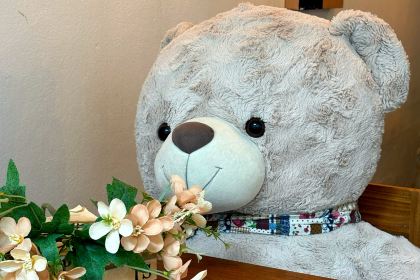 Pastalicious, Fresh Pasta & Steaks