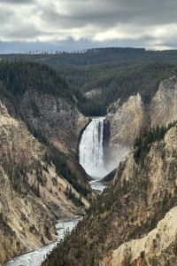 _CFT010000000066****