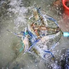 Kung Puen Praew User Photo