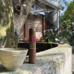 天福美院·老厂酒菜馆(天福街店) User Photo