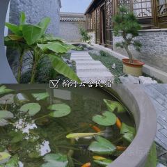 稻河雲舍民宿·慢 coffee張用戶圖片