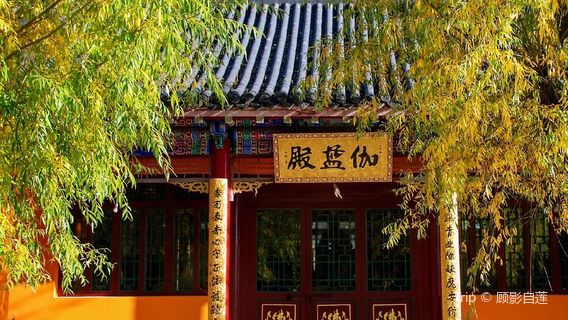 ภูเขายาคุซัง