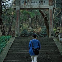 Yiliuxia User Photo