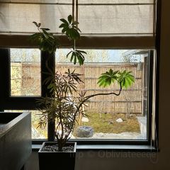 山海经·大乐之野精酿啤酒餐厅 User Photo
