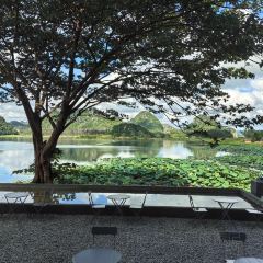 丽谯咖啡Loustland coffee User Photo