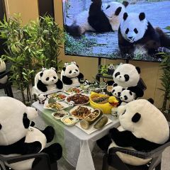 百万卤鹅重庆菜馆·家宴旗舰店(动物园店) User Photo