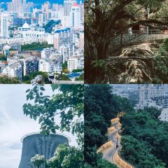 西禅寺荔香楼素菜馆(工业路店) User Photo