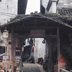 两棵树馄饨店(渔梁住保小区店) User Photo