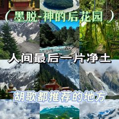 扎西石锅鸡 여행 사진