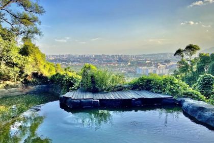 张林阿山姜母鸭(泉州新华北路店)