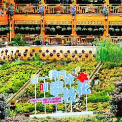 芋見張宜花園（鹽邊預告店）張用戶圖片