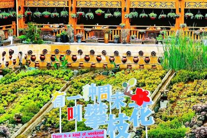 芋見張宜花園（鹽邊預告店）