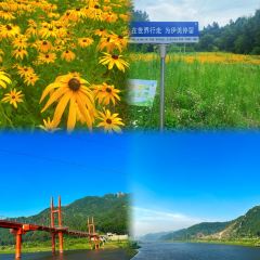 LAO YU WENG BEN GUO DUN User Photo