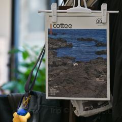 서조사 커피 여행 사진